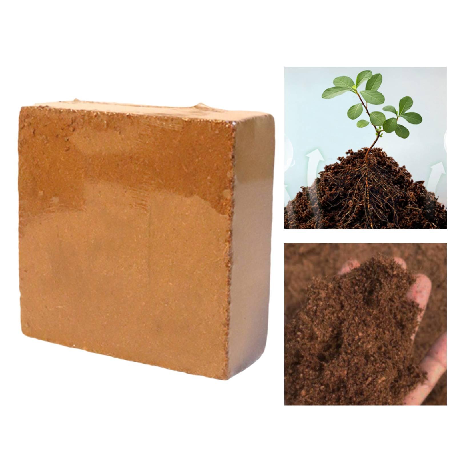 Moisture Holding Cocos Coir Co - Coco Coir Block ulasan dan harga