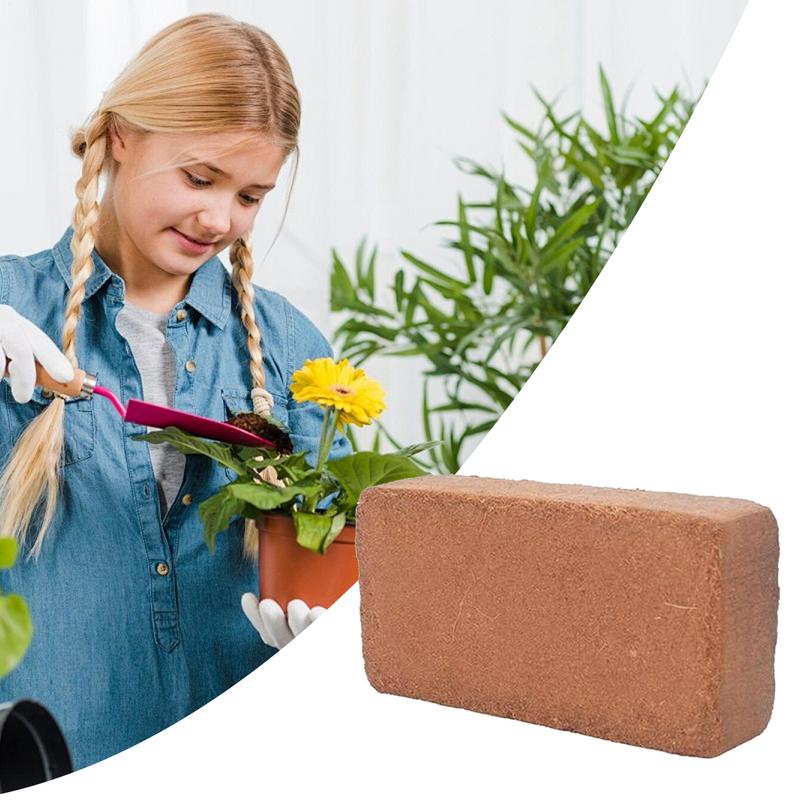 Organic Coir For Plants Coco C - Coco Coir Block ulasan dan harga